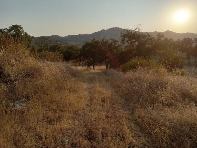 38949 Roundtree Ln, Home with 0 bedrooms, 0 bathrooms and null parking in Yokuts Valley CA | Image 9