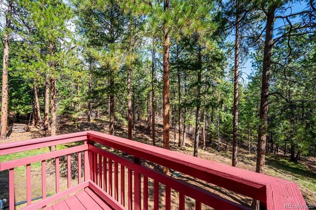 20025 Flint Ln, House other with 4 bedrooms, 3 bathrooms and 7 parking in Morrison CO | Image 15