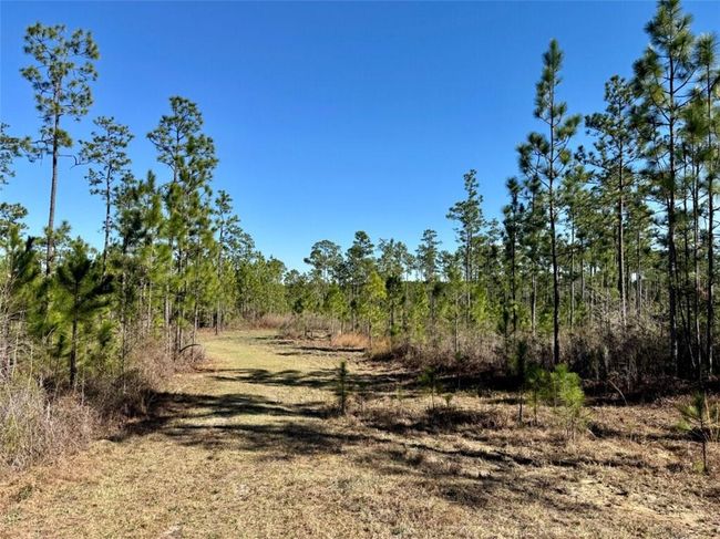 0 Robert White Rd, Home with 0 bedrooms, 0 bathrooms and null parking in Bay Minette AL | Image 15