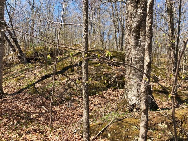 Lot 35 N Alpine Dr, Home with 0 bedrooms, 0 bathrooms and null parking in Upson WI | Image 14