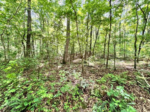 00 Red River Rd, Fox, AR, 72051 | Card Image