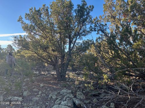 lot 80 Ranch Road, Vernon, AZ, 85940 | Card Image