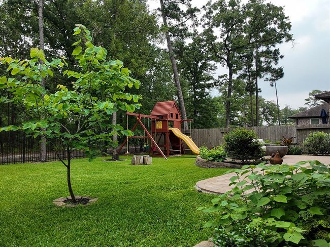 Large backyard with a gate that will allow you a shortcut to the trails. | Image 25