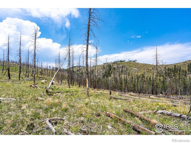2384 Rist Creek Rd, Home with 0 bedrooms, 0 bathrooms and null parking in Bellvue CO | Image 11