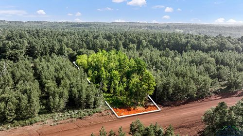 17167 Island Lake Dr, Tyler, TX, 75708 | Card Image