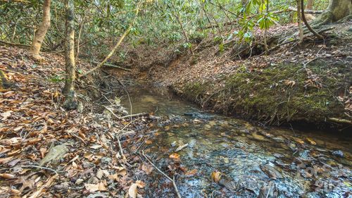 1-TBD All Healing Springs Road, Taylorsville, NC, 28681 | Card Image