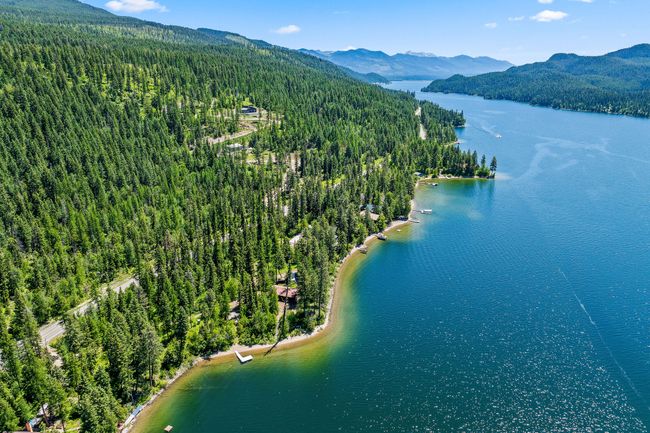 Aerial view of a forest and a water and mountain view | Image 49