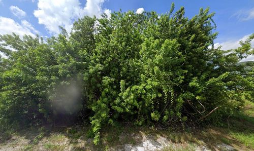 1398 Parham Ave Se, Palm Bay, FL, 32909-5437 | Card Image