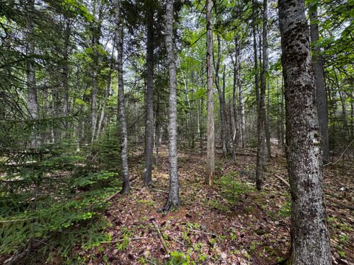 Lot 0 Hadley Point Rd, Bar Harbor, ME, 04609 | Card Image