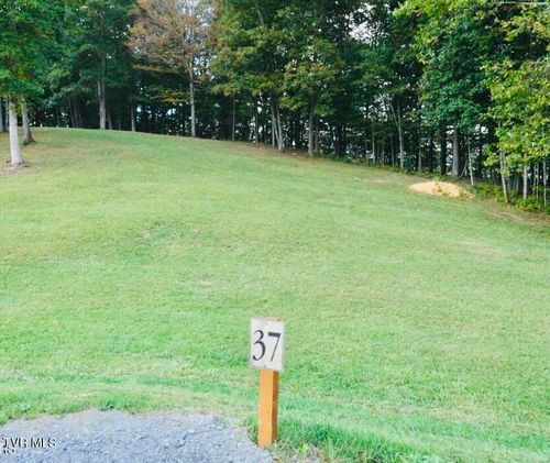 Lot 37 Draft (Summerfield) Road, Butler, TN, 37640 | Card Image