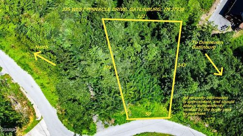335 Pinnacle Dr, Gatlinburg, TN, 37738 | Card Image