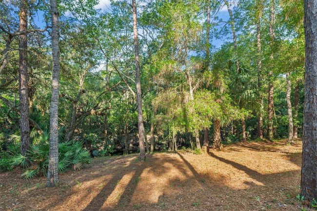 4000 Rouse Rd, House other with 4 bedrooms, 4 bathrooms and null parking in ORLANDO FL | Image 59