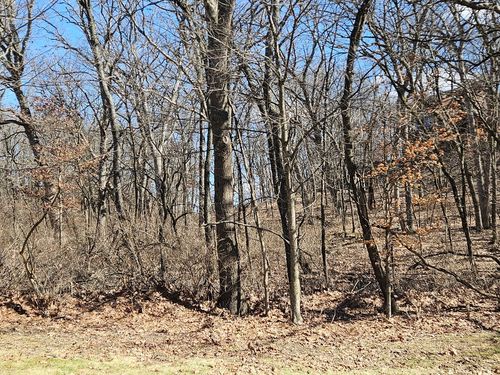 1302 Beech Ln, Dixon, IL, 61021-7325 | Card Image