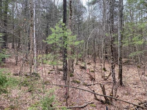 00 Winnipesaukee Dr, Wolfeboro, NH, 03894 | Card Image