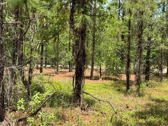 1698 Carriage Dr, Home with 0 bedrooms, 0 bathrooms and null parking in Loris SC | Image 8