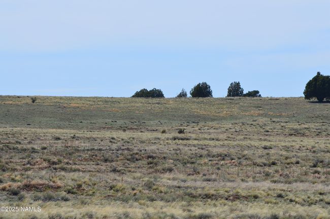 2 E Tanner Ranch Rd, Home with 0 bedrooms, 0 bathrooms and null parking in Parks AZ | Image 25