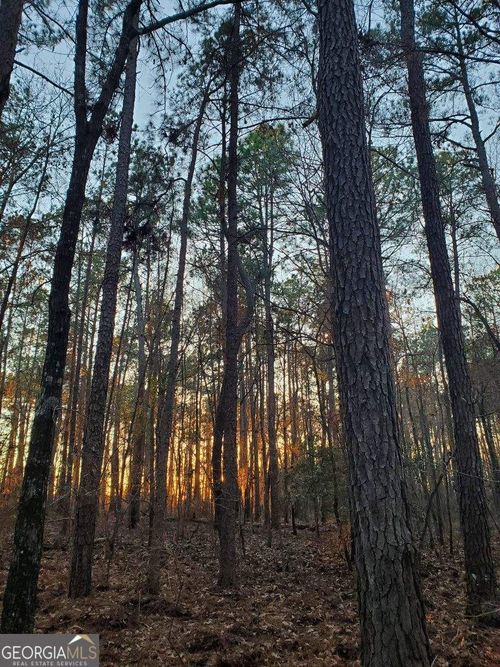 0 Mark Wood Rd, Dexter, GA, 31019 | Card Image