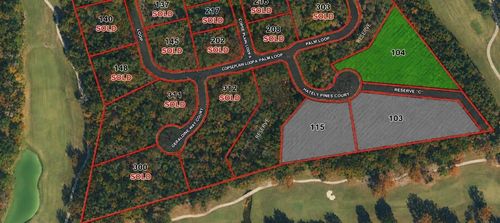 104 Chateau Pines Ct, Montgomery, TX, 77316 | Card Image
