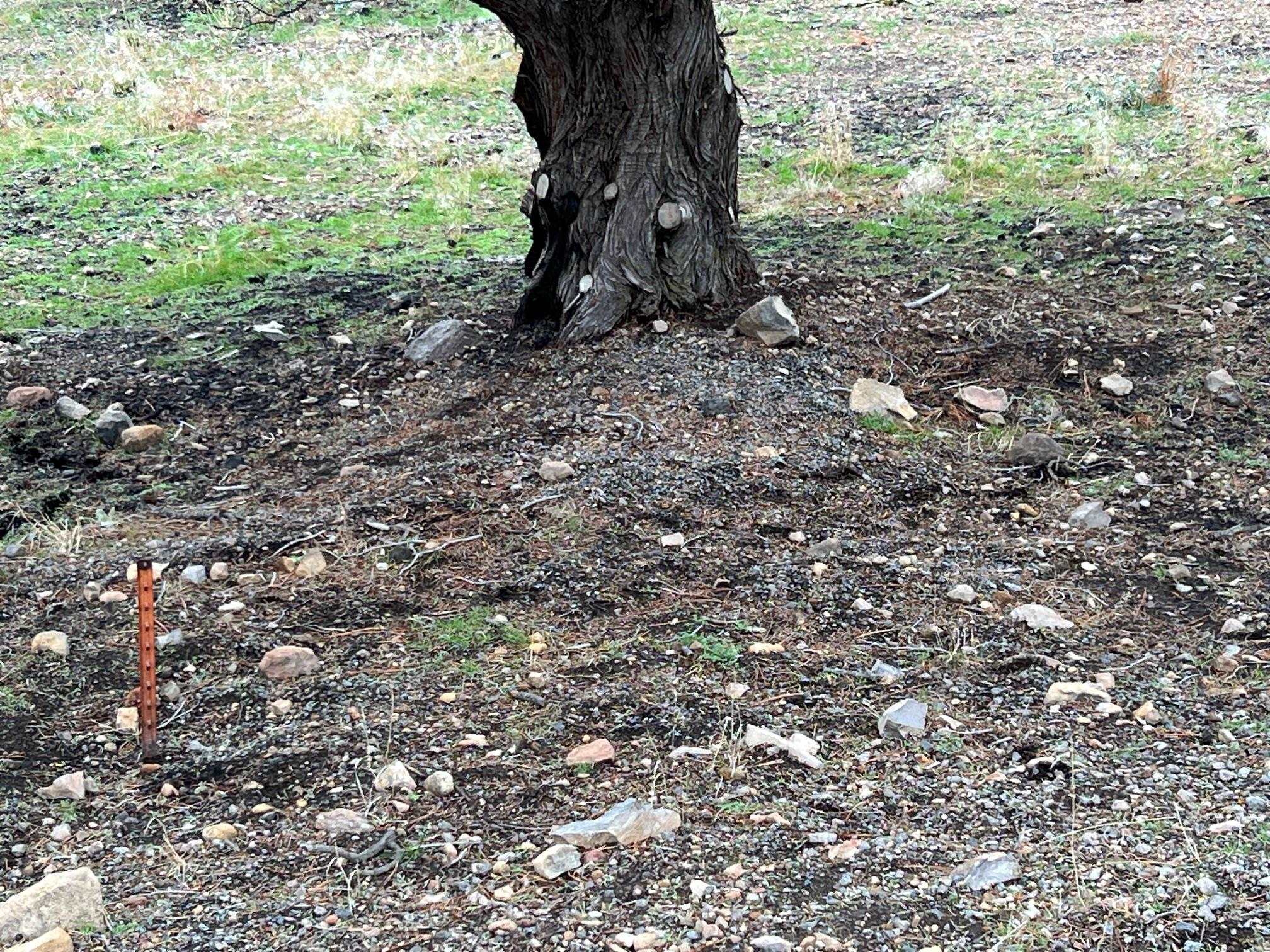 Land in Weed 3