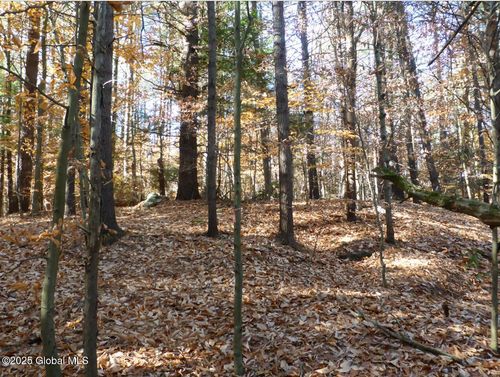 487 Antone Mountain Road, Hadley, NY, 12835 | Card Image