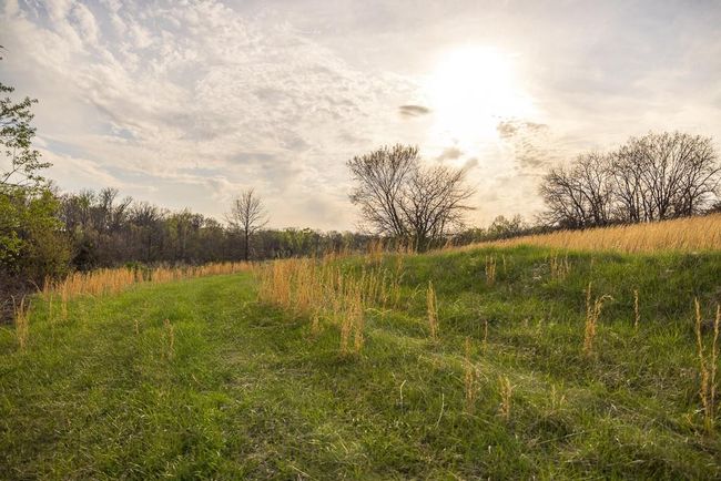View of landscape with a rural view | Image 82