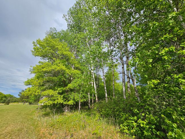 20470 220 Th St, House other with 3 bedrooms, 3 bathrooms and null parking in Verndale MN | Image 64