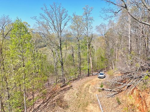 Lot 44 The Lndg, Blairsville, GA, 30512-1990 | Card Image