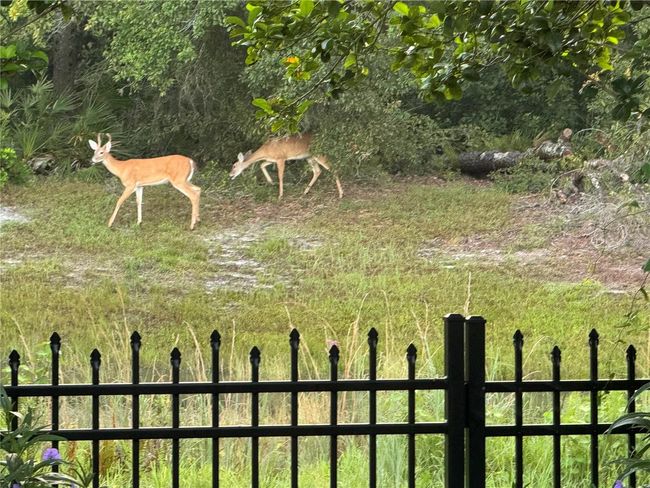 5914 Wrenwater Dr, House other with 3 bedrooms, 2 bathrooms and null parking in LITHIA FL | Image 32