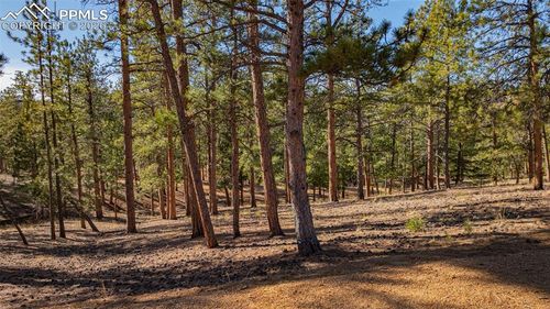 113 Schmittel Dr, Sedalia, CO, 80135 | Card Image