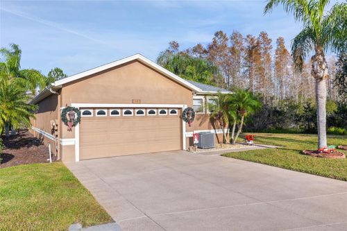 8432 Tarocco Ct, LAND O LAKES, FL, 34637-7517 | Card Image