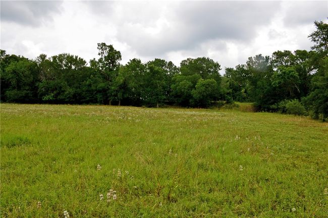 View of woods | Image 32