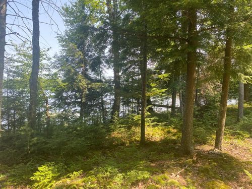 TBD En-A-Wen-Da-Win, Watersmeet, MI, 49969 | Card Image
