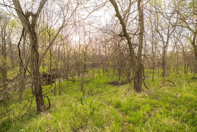 View of nature featuring a view of trees | Image 94