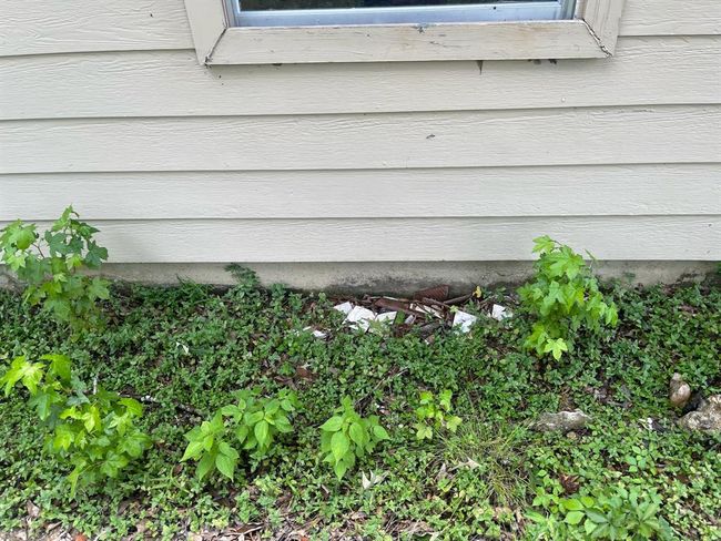 0 Pickering Rd, Home with 0 bedrooms, 0 bathrooms and null parking in Conroe TX | Image 14