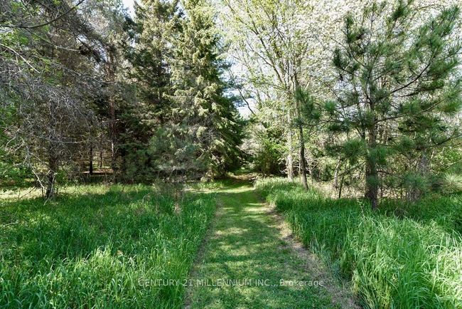 248504 5 Sideroad, House other with 3 bedrooms, 3 bathrooms and 18 parking in Mono ON | Image 38