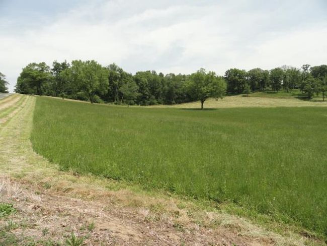 Lot 3 County Road Y, Home with 0 bedrooms, 0 bathrooms and null parking in Viroqua WI | Image 44