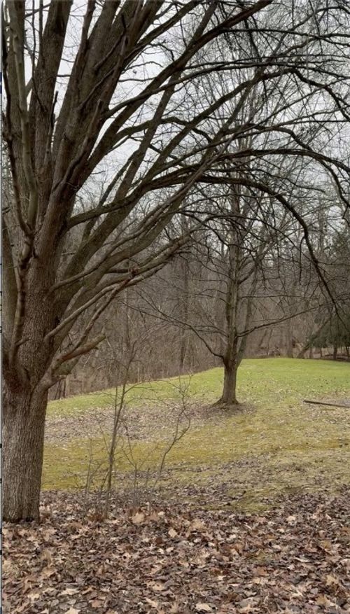 3337 Washington Pike, Bridgeville, PA, 15017-1243 | Card Image