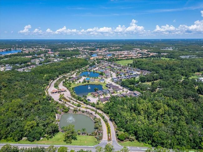 15246 Anguilla Isle Ave, House other with 4 bedrooms, 3 bathrooms and null parking in TAMPA FL | Image 67