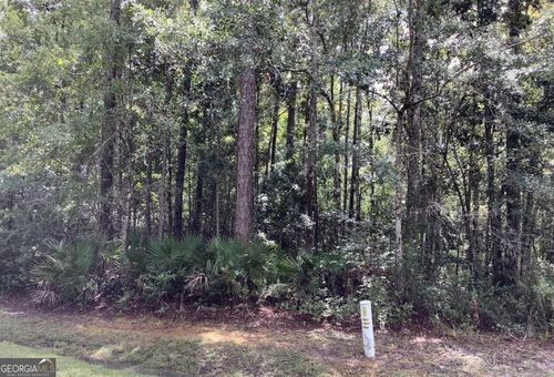 lot-91-0 Canoe Run, woodbine, GA, 31569 | Card Image