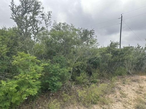 0 County Road 187, Orange Grove, TX, 78372 | Card Image