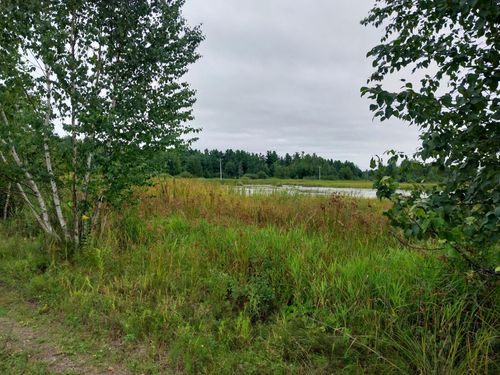 58747 Finlayson Rd, Sandstone, MN, 55072-2662 | Card Image