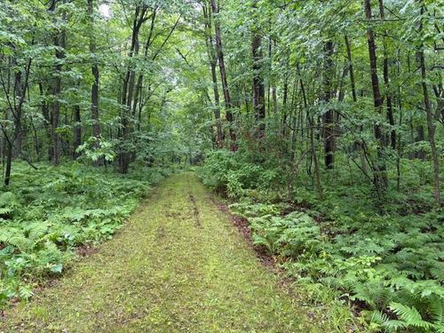 1749 350th Ave, Frederic, WI, 54837-4240 | Card Image