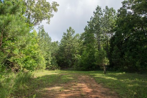 0 Old Sh 69, Sugar Tree, TN, 38380 | Card Image