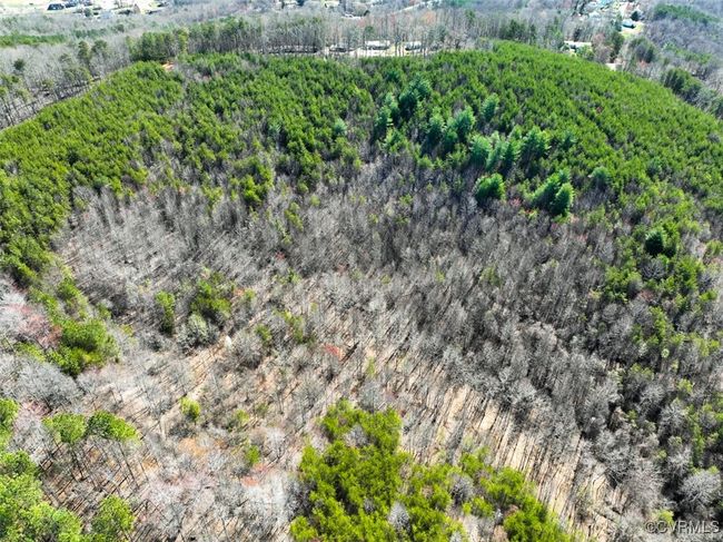 30.19 Acres (Off Of) Belvedere Dr, Home with 0 bedrooms, 0 bathrooms and null parking in Fieldale VA | Image 8