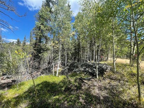 169 Ithaca Ln, COMO, CO, 80432 | Card Image