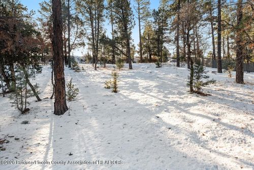 215 Midiron Rd, Alto, NM, 88312-8045 | Card Image