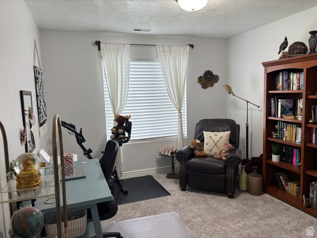 Home office with plenty of natural light, carpet, a textured ceiling, and baseboards | Image 6