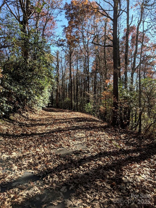 Trail to Gorges Park | Image 41