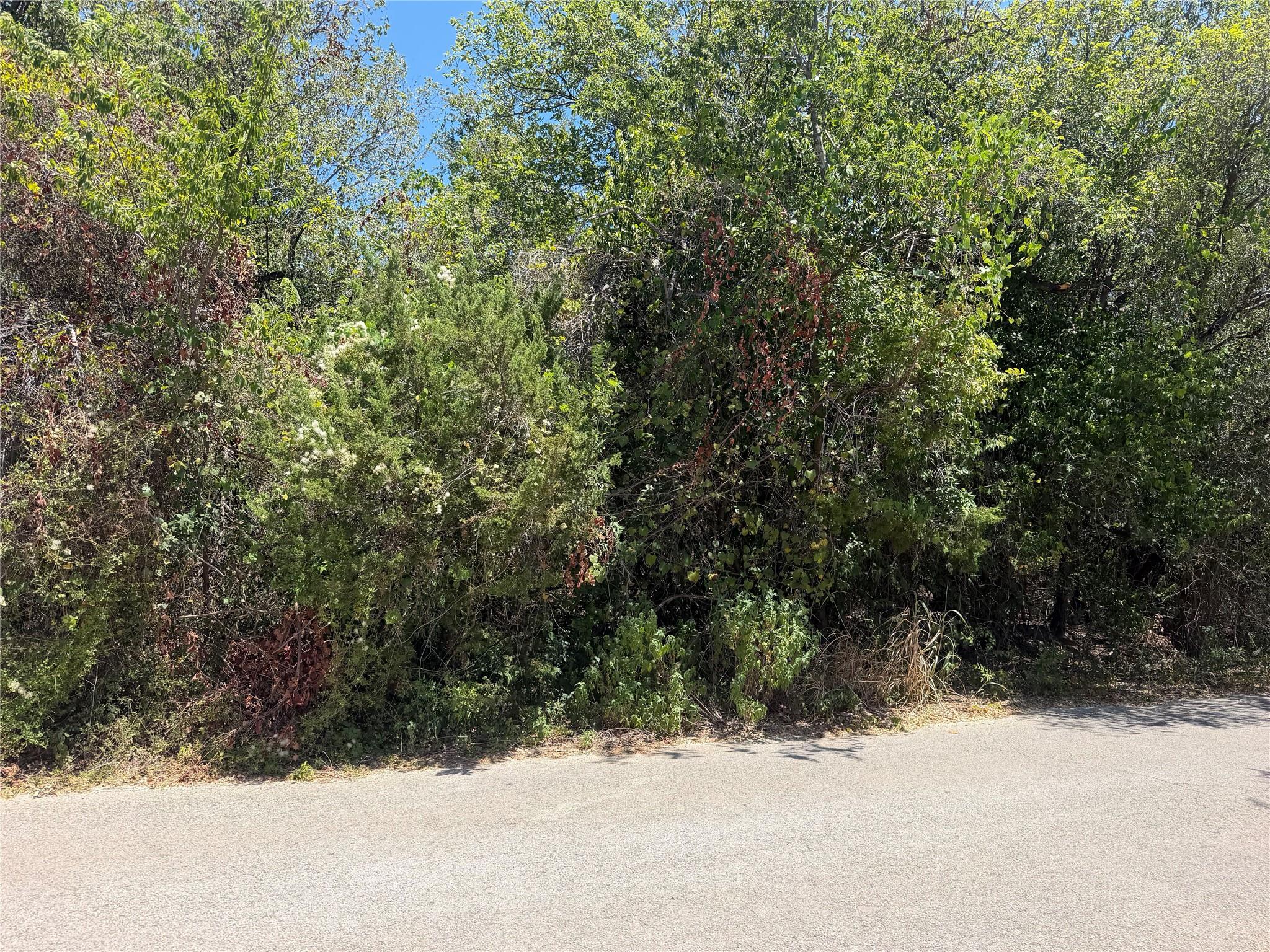 Land in Austin 4
