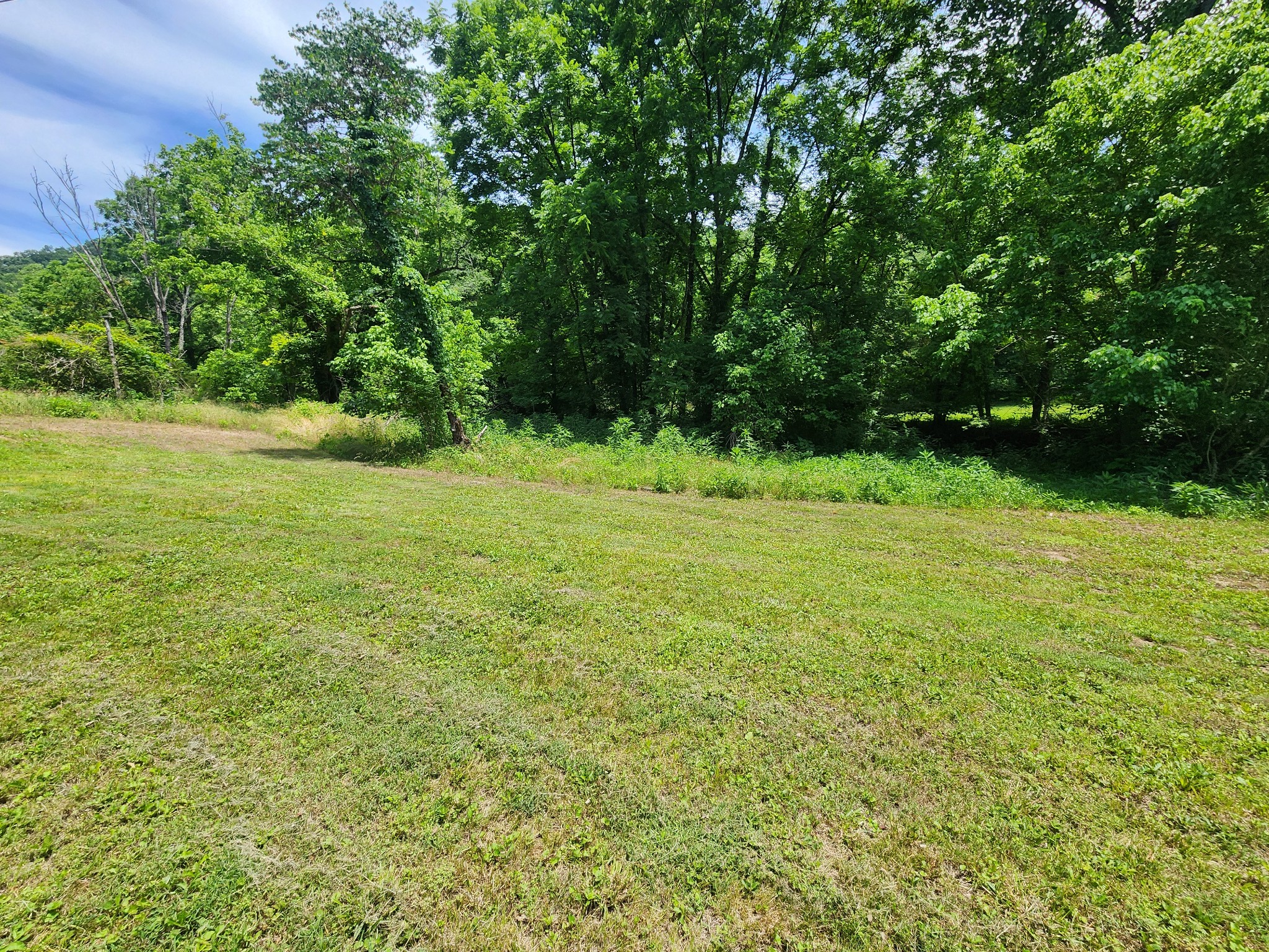 Land in Hartsville 4
